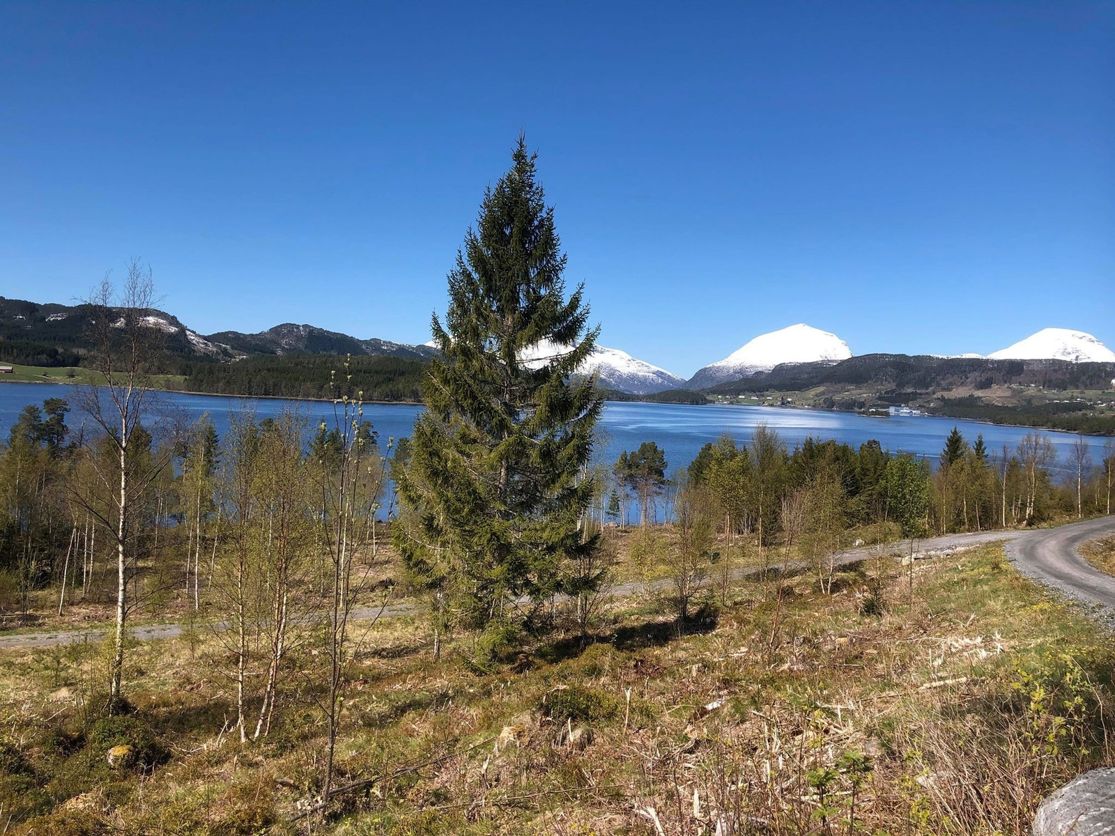 Bilde fra tomta Galleribilde