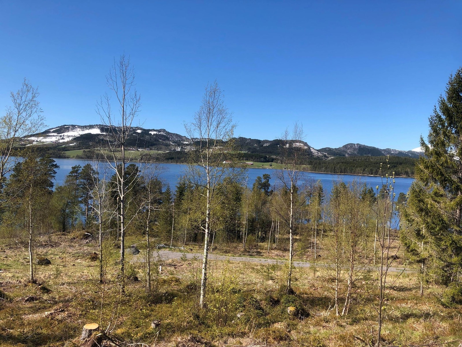 Bilde fra tomta Galleribilde