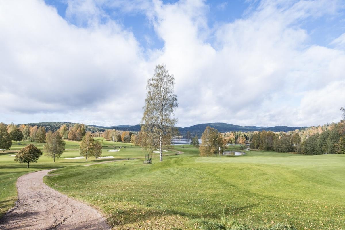 Flotte rekreasjonsmuligheter rett utenfor døren sommer som vinter. Nærhet til populære Bogstad Golfbane. Galleribilde