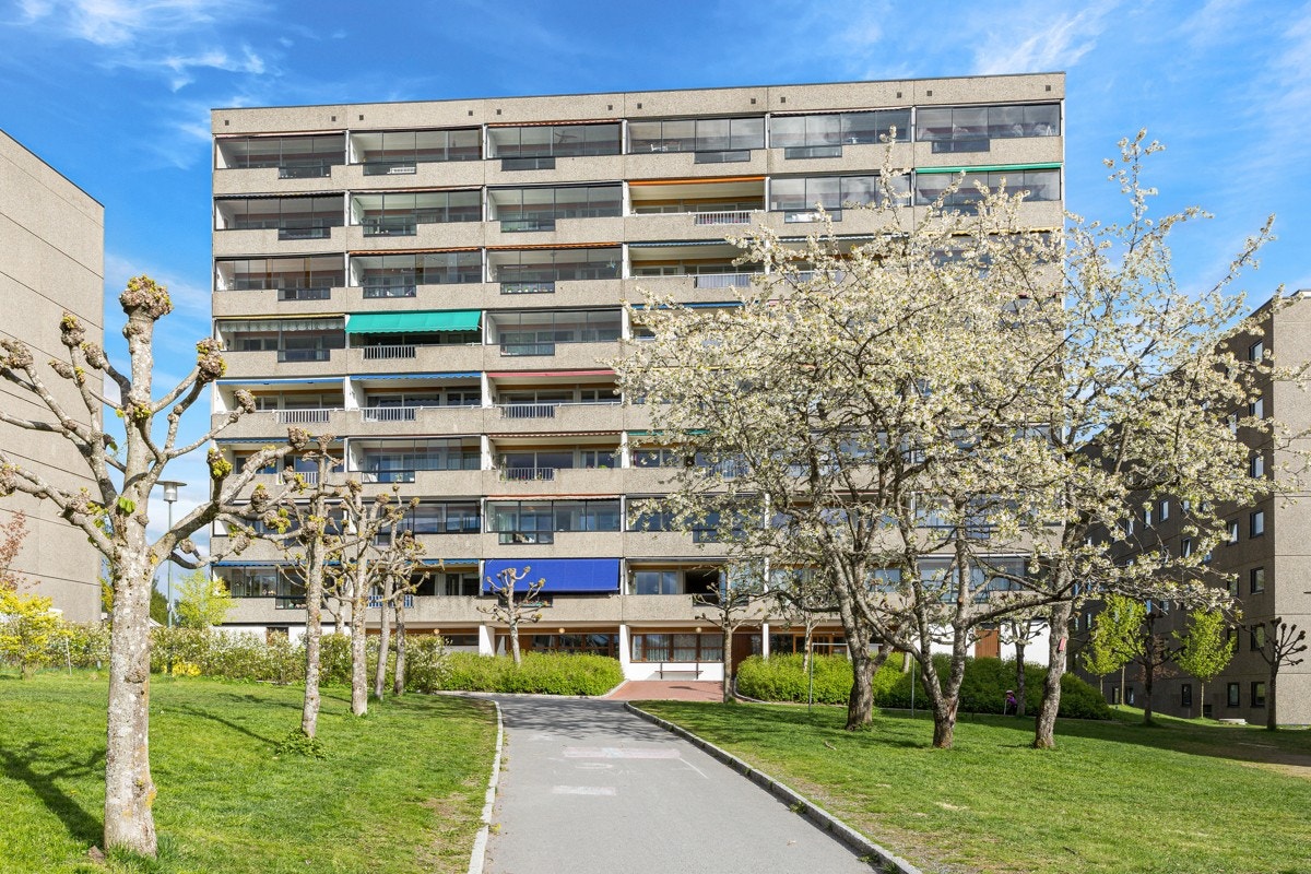 De interne gangveiene er asfalterte, og har nylig fått varme fra varmegjenvinning i garasjen. Galleribilde