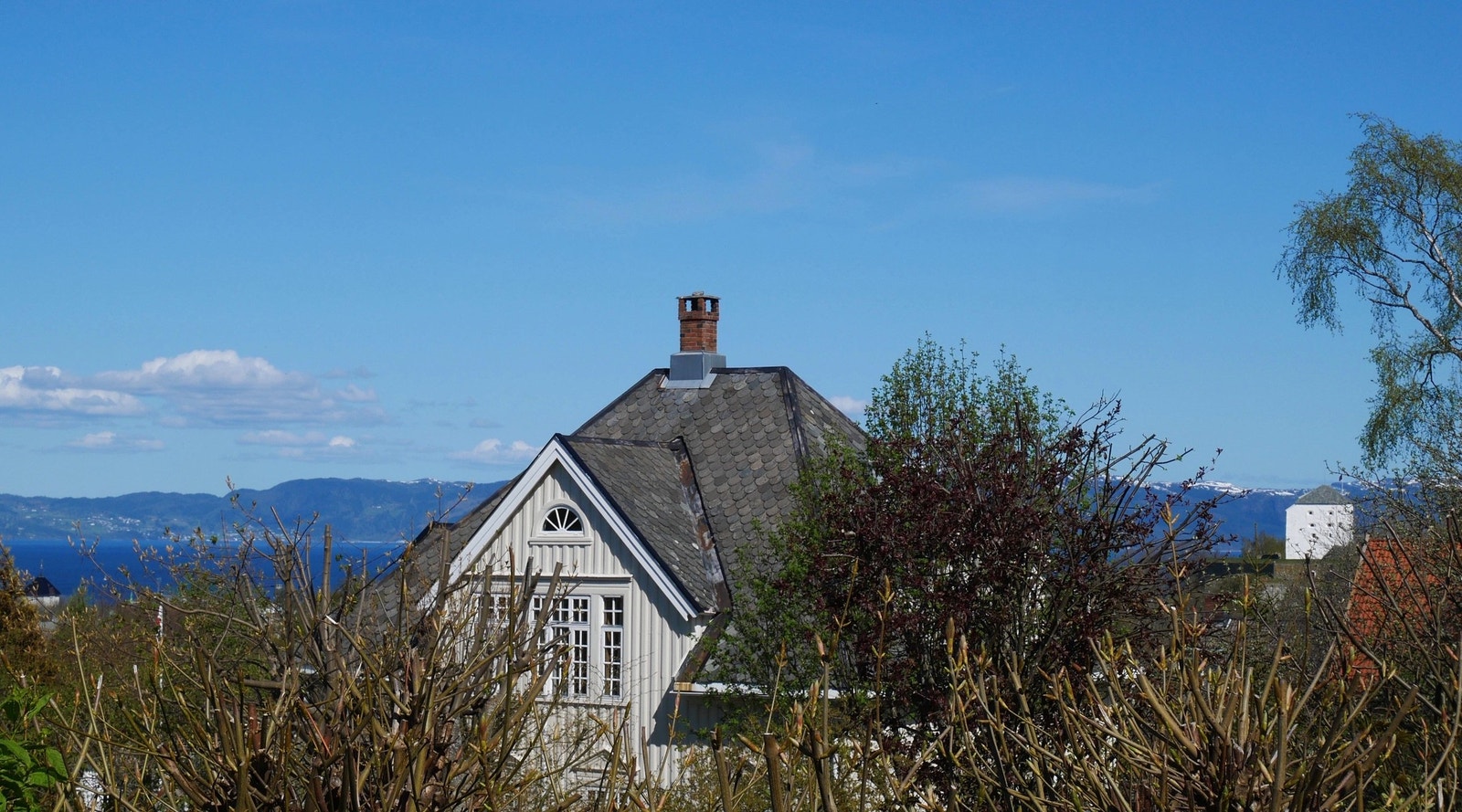 Bilde fra selger. Galleribilde