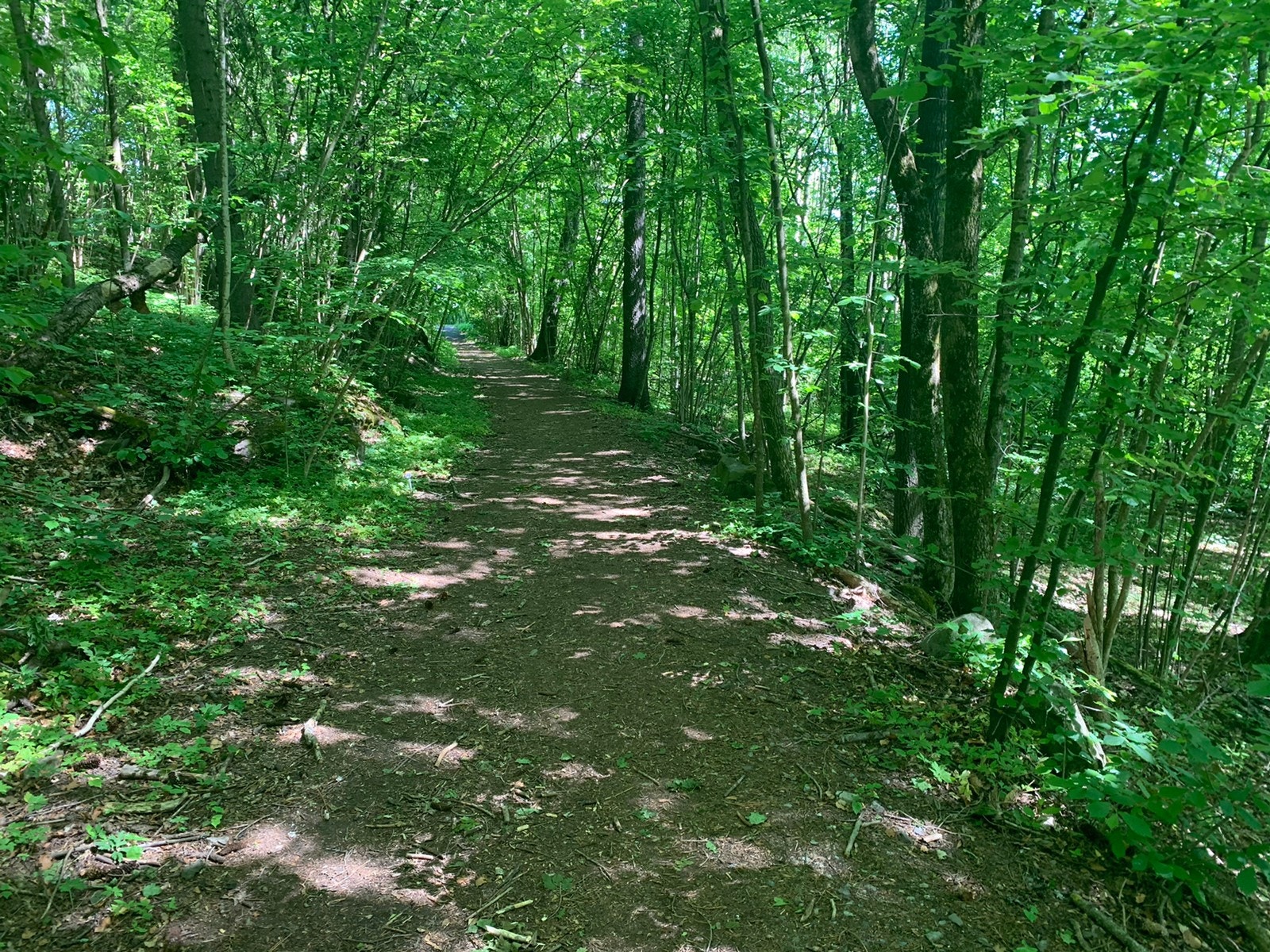 Skogholt, 2 min gange Galleribilde