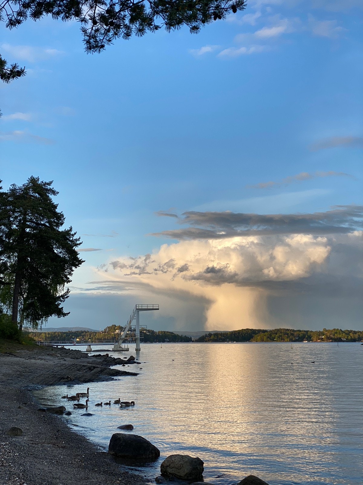 Hvalstrand bad Galleribilde