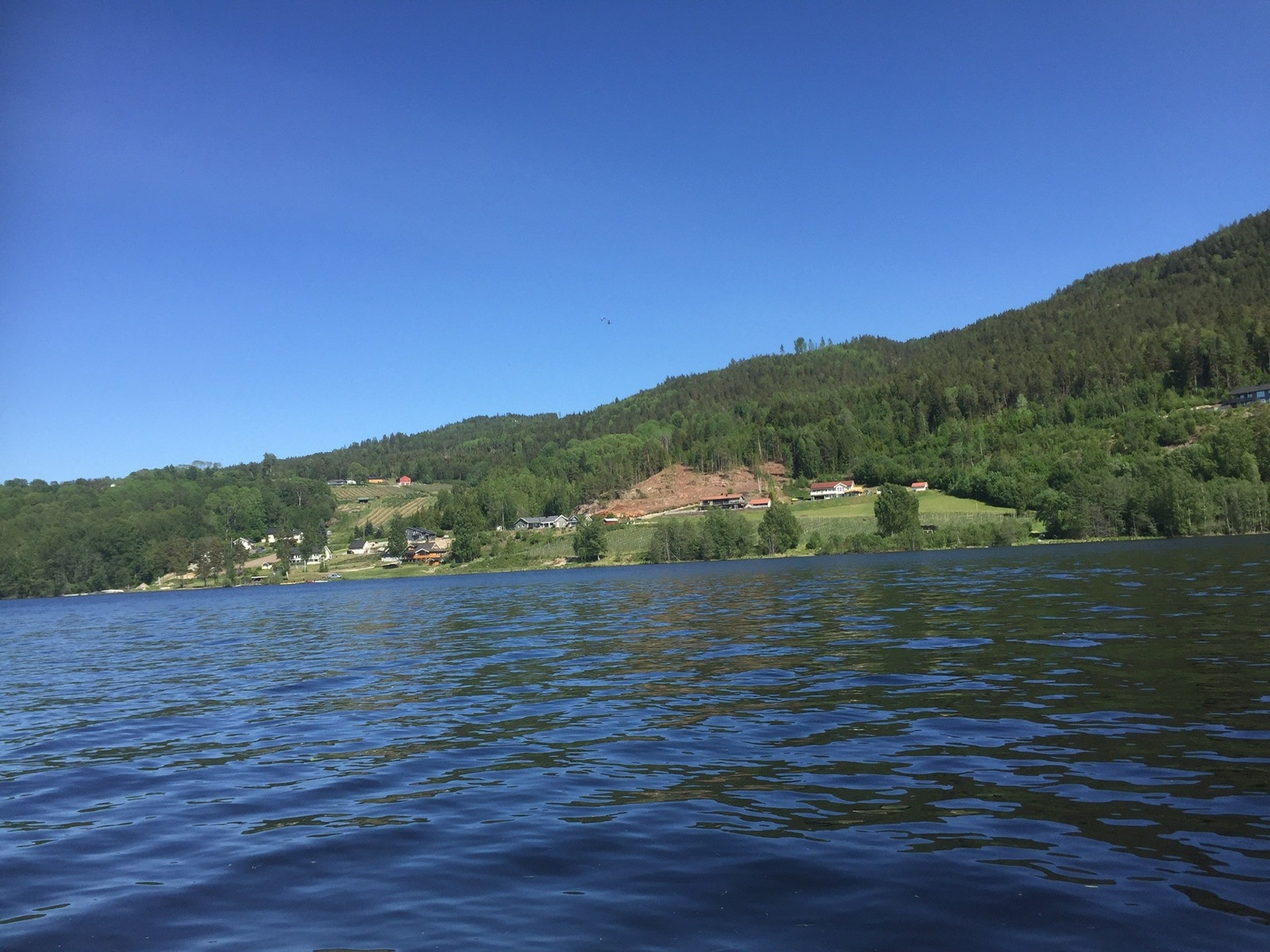 Tomter sett fra Norsjø Galleribilde