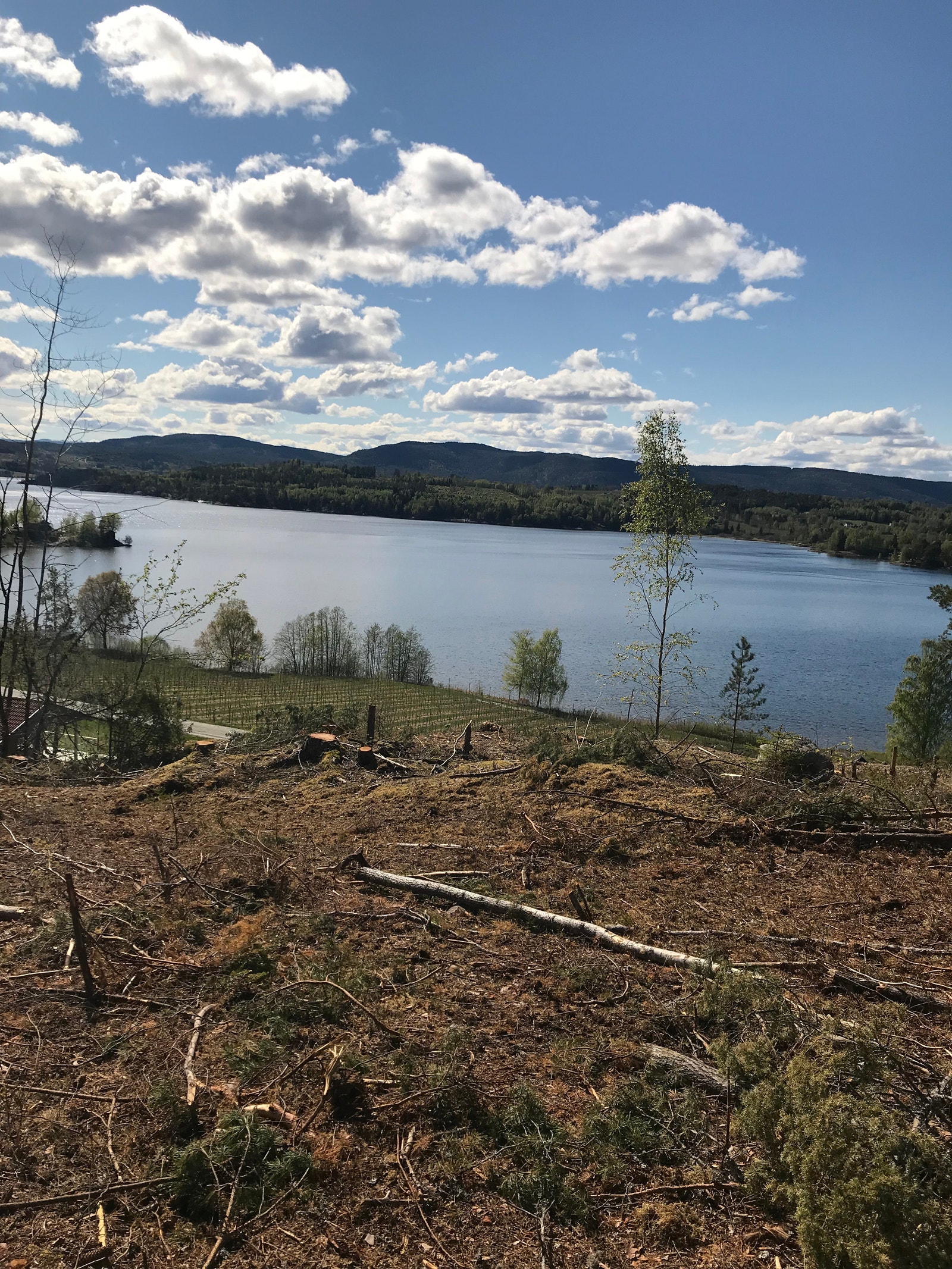 Utsikt fra tomt Galleribilde