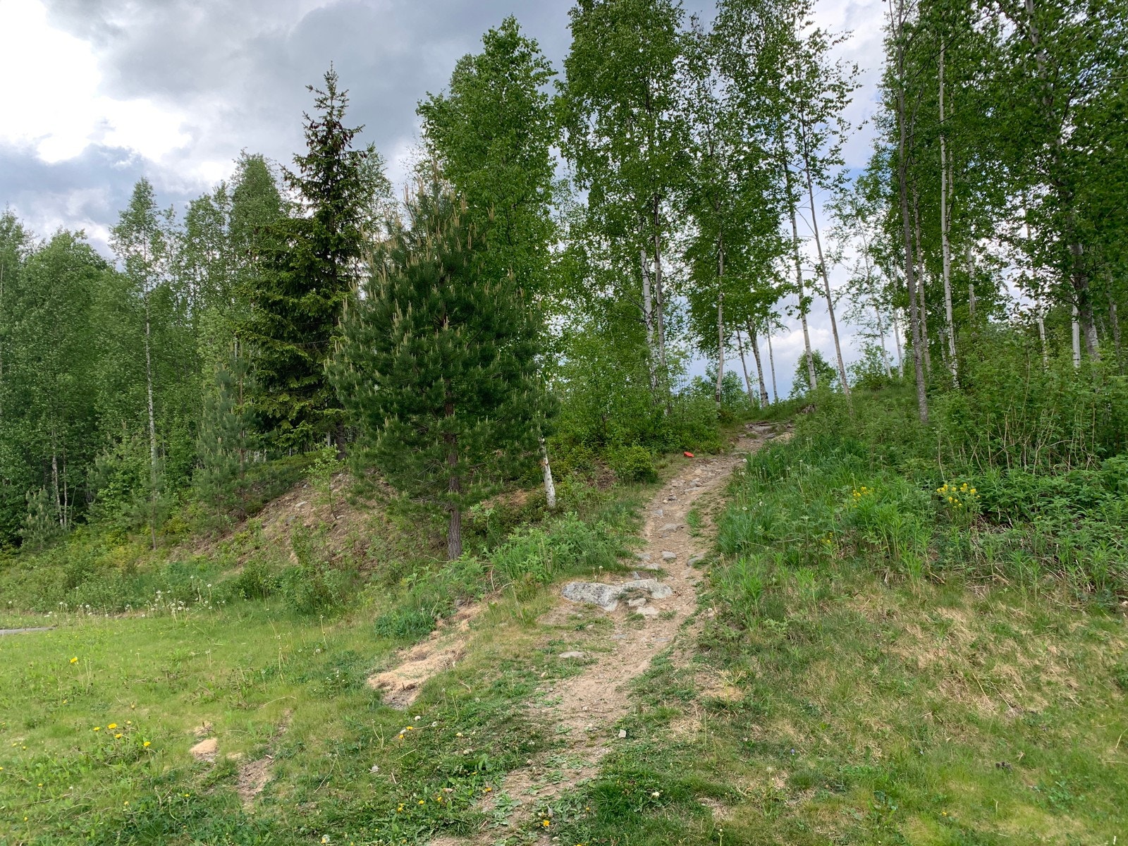 Tur område 100 meter fra huset Galleribilde