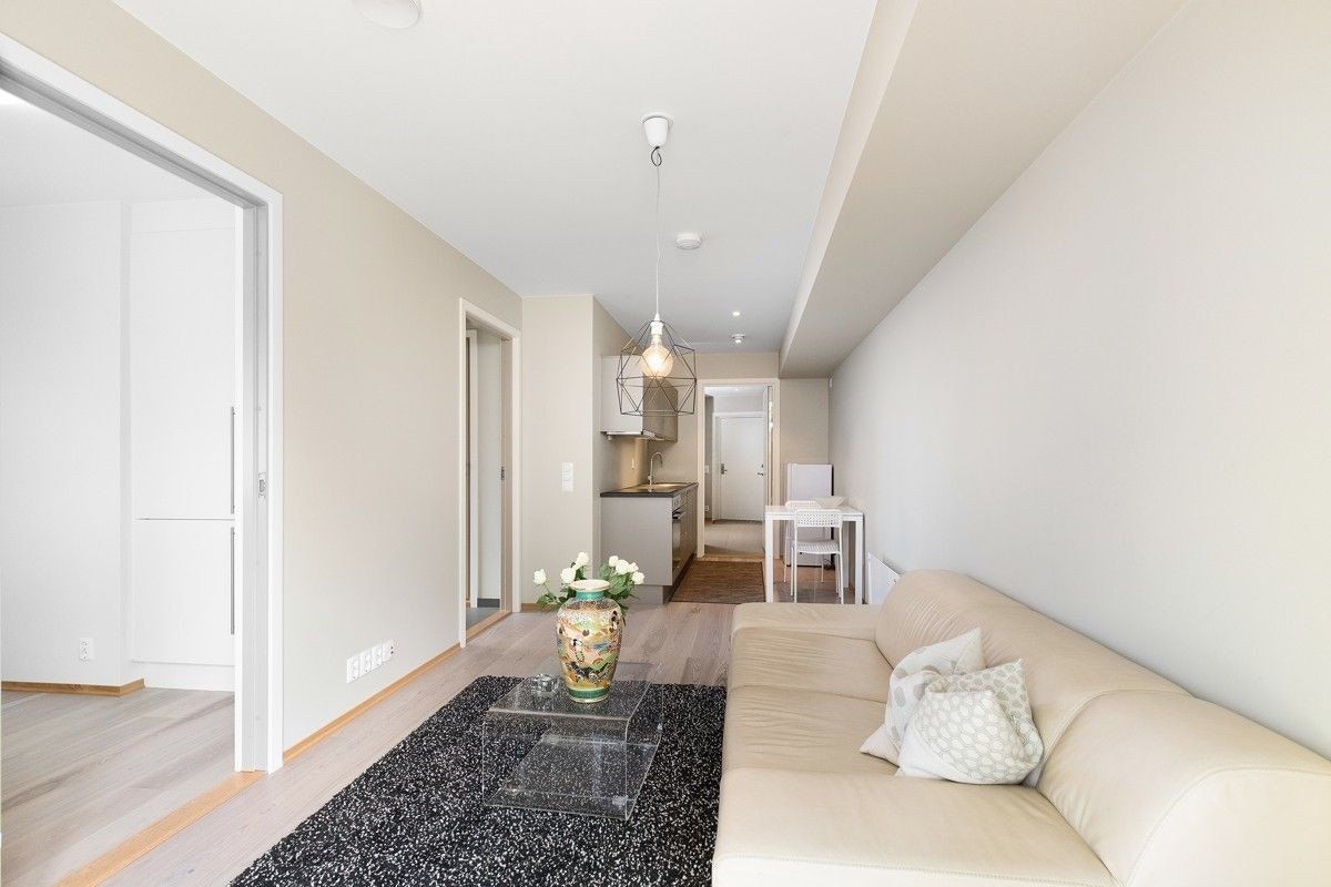 Stue og kjøkken. Sofaen er byttet ut med en brun sovesofa Galleribilde