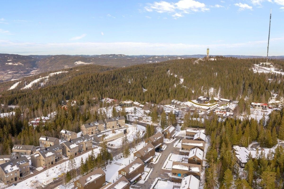 Huset vårt er det som befinner seg nest nederst til venstre i bildet Galleribilde