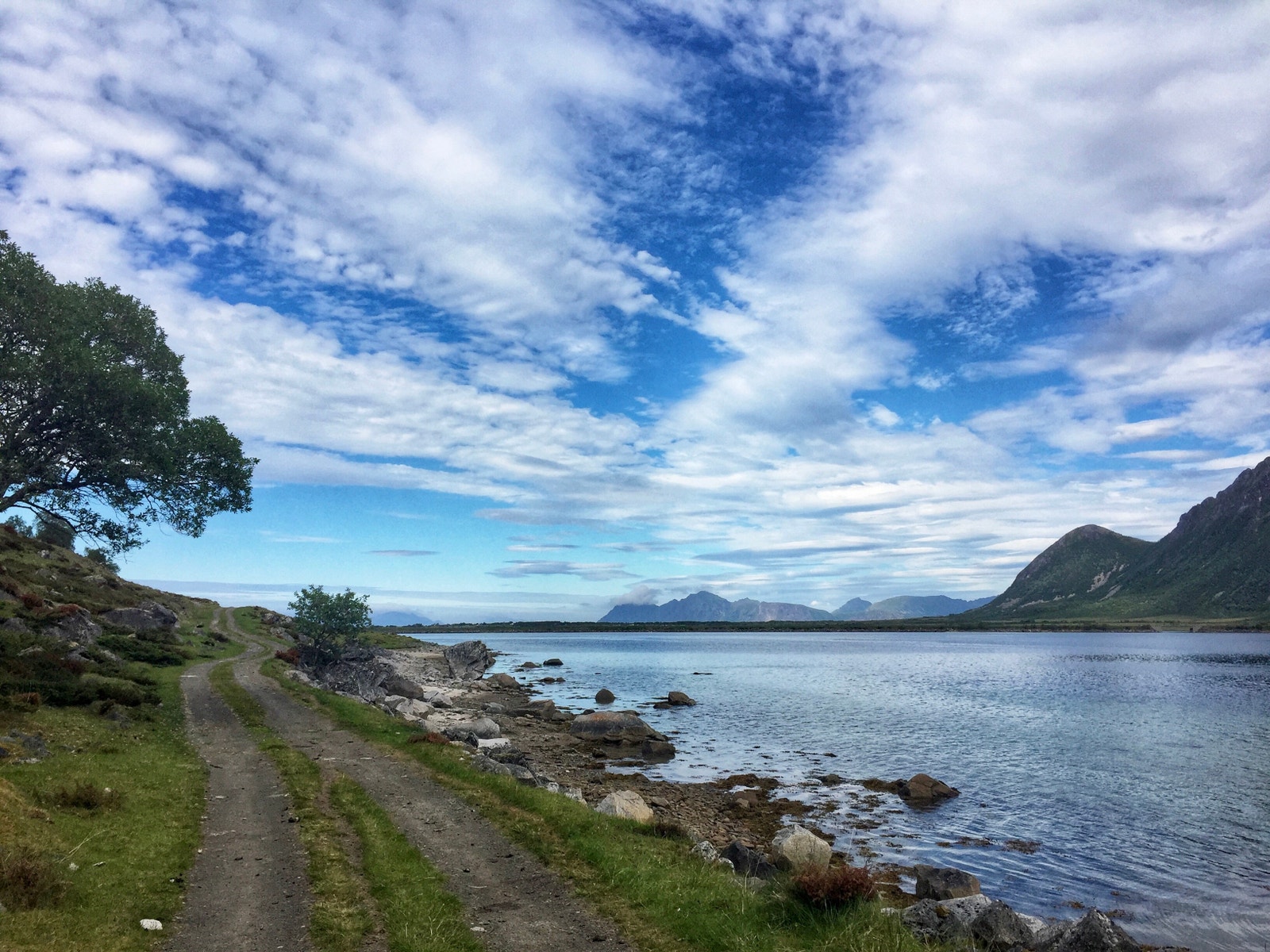 Delp, flotte turområder Galleribilde
