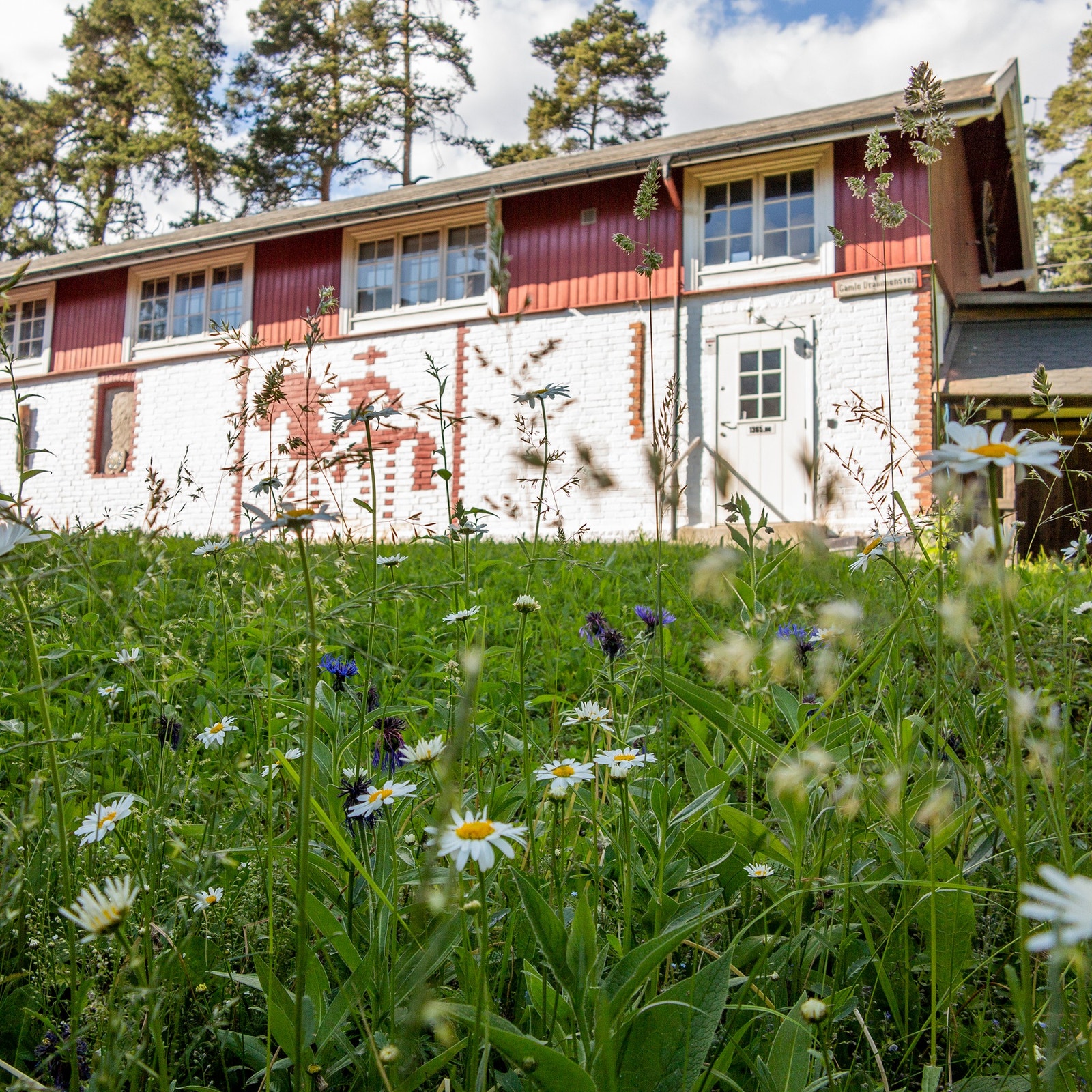 Frodig eng og hage omkranser Villa Fredheim og «Prestens vognskjul», som er et stort rom som benyttes til fotografering, kurs og utstillinger. Galleribilde