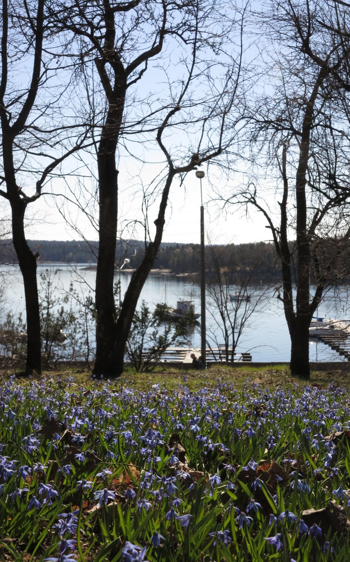Eiendommen gå helt ned til Sandviksveien. Det er under 5 minutter til buss på Lakseberget. Galleribilde