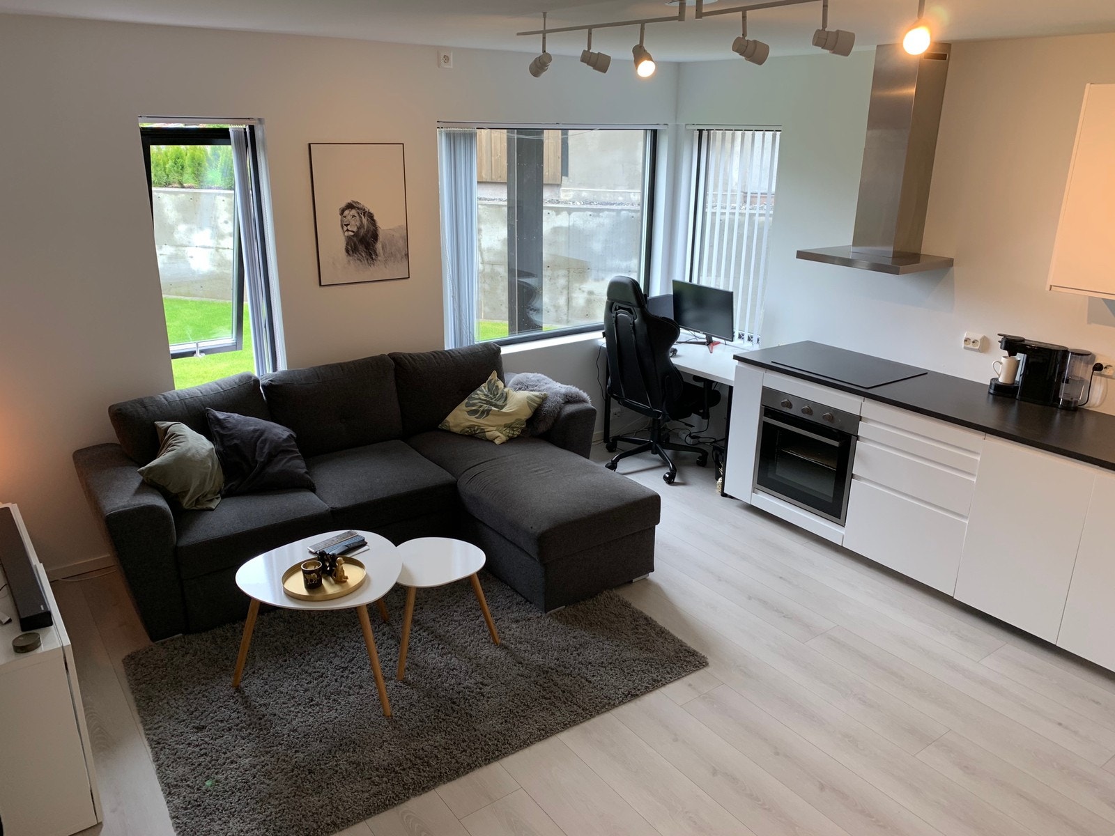 Stue/Kjøkken Galleribilde