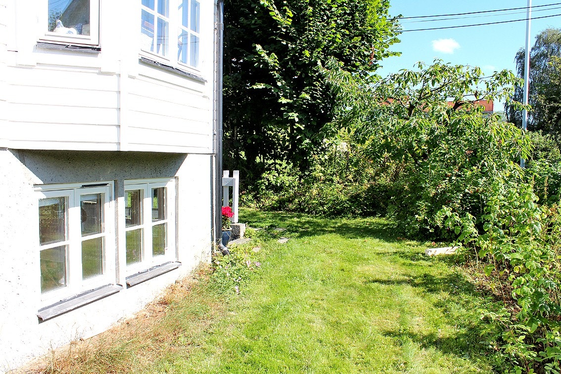 Hageflekk Galleribilde