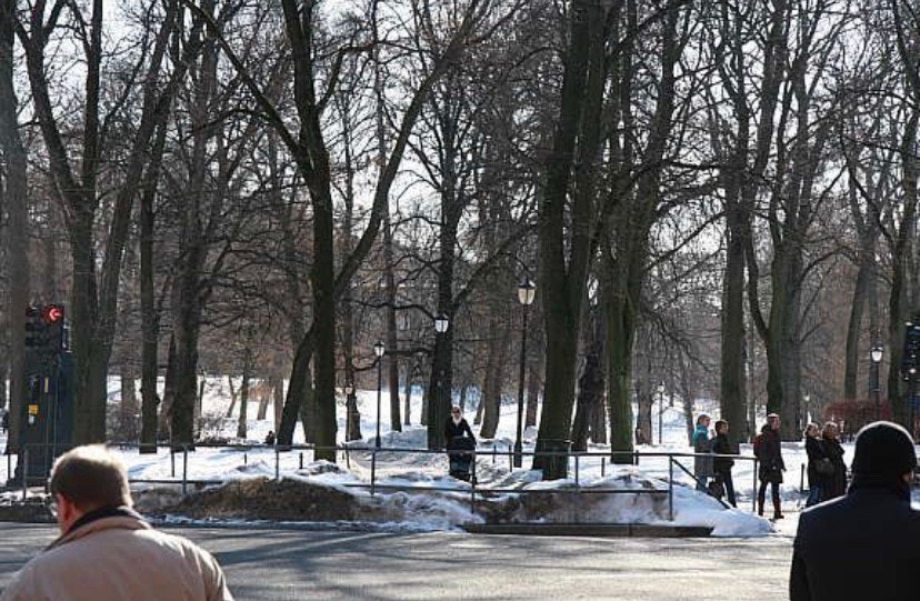 Slottsparken Galleribilde