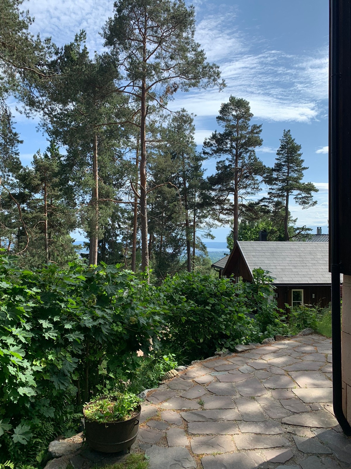 Hellelagt uteområde med fjordgløtt Galleribilde