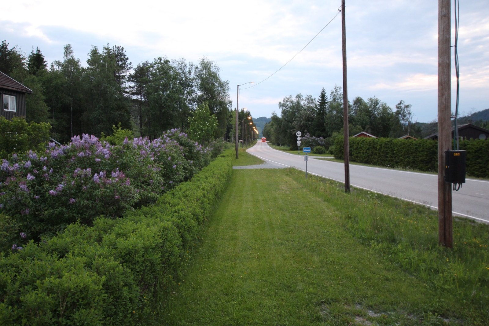 Utsikt i retning Storås Galleribilde