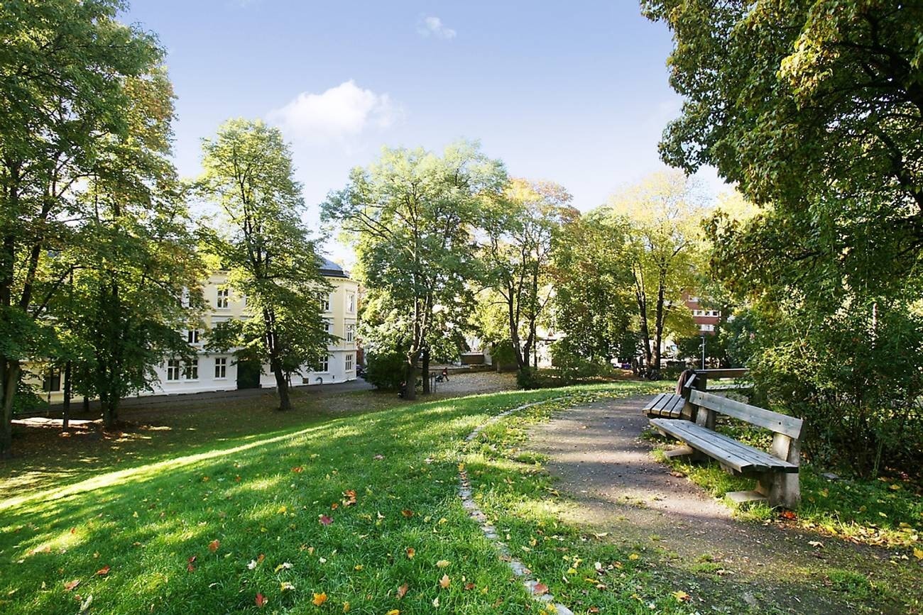 Utsikten over parken fra stuen Galleribilde
