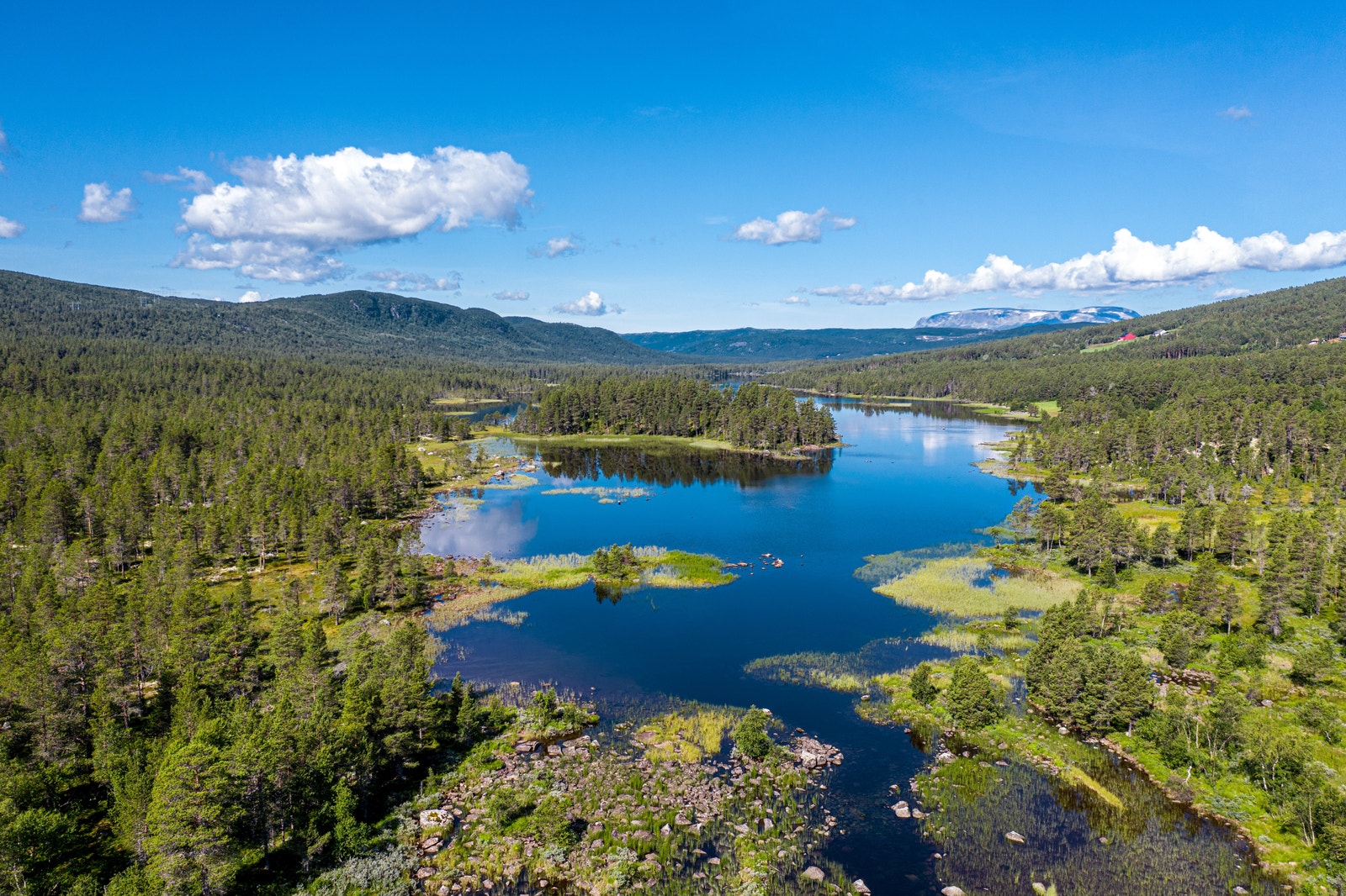 Følg drømmen. og flytt til fjells- Velkommen til Skurdalen! Galleribilde
