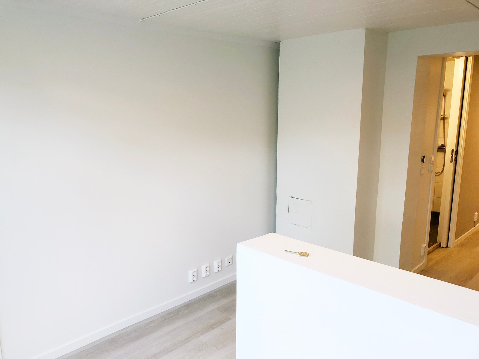 Gang/stue Galleribilde