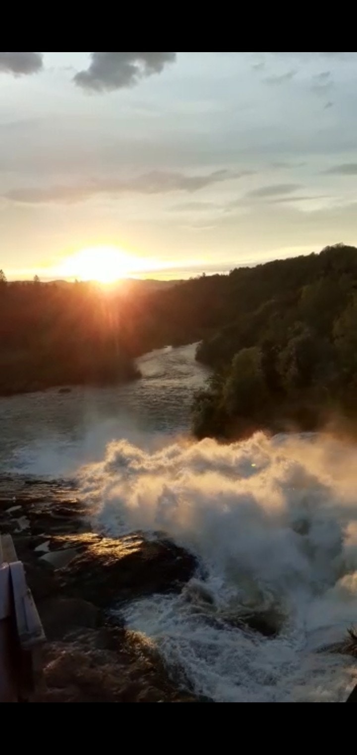 på Sjetnmarka i juni 2020. Galleribilde