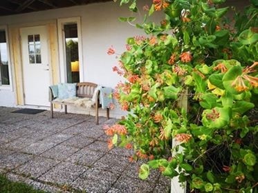 Trivelig inngangsparti Galleribilde