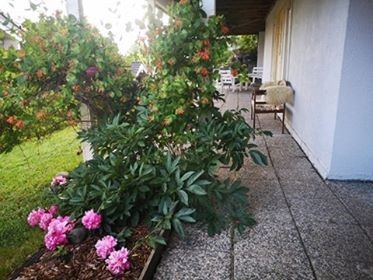 Trivelig inngangsparti Galleribilde