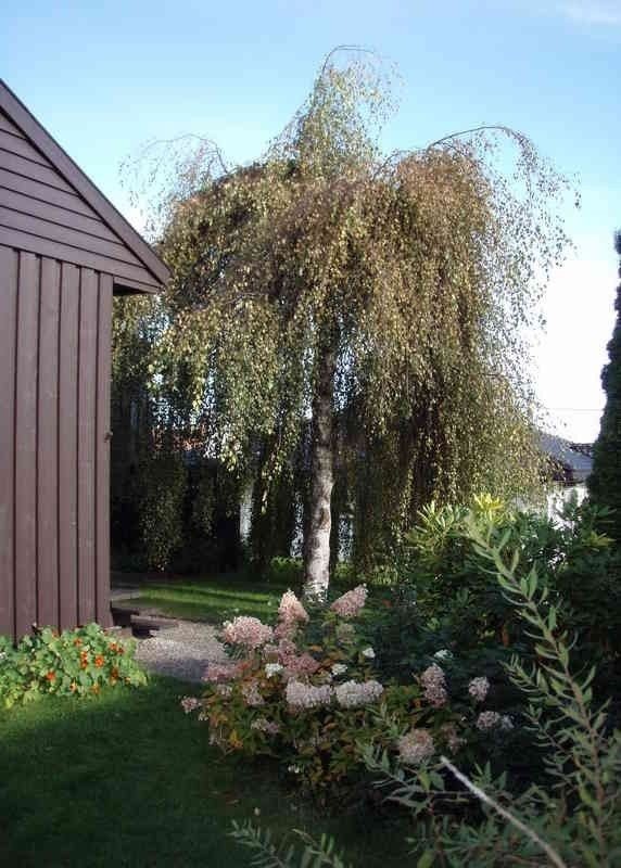 Inn ti huset Galleribilde