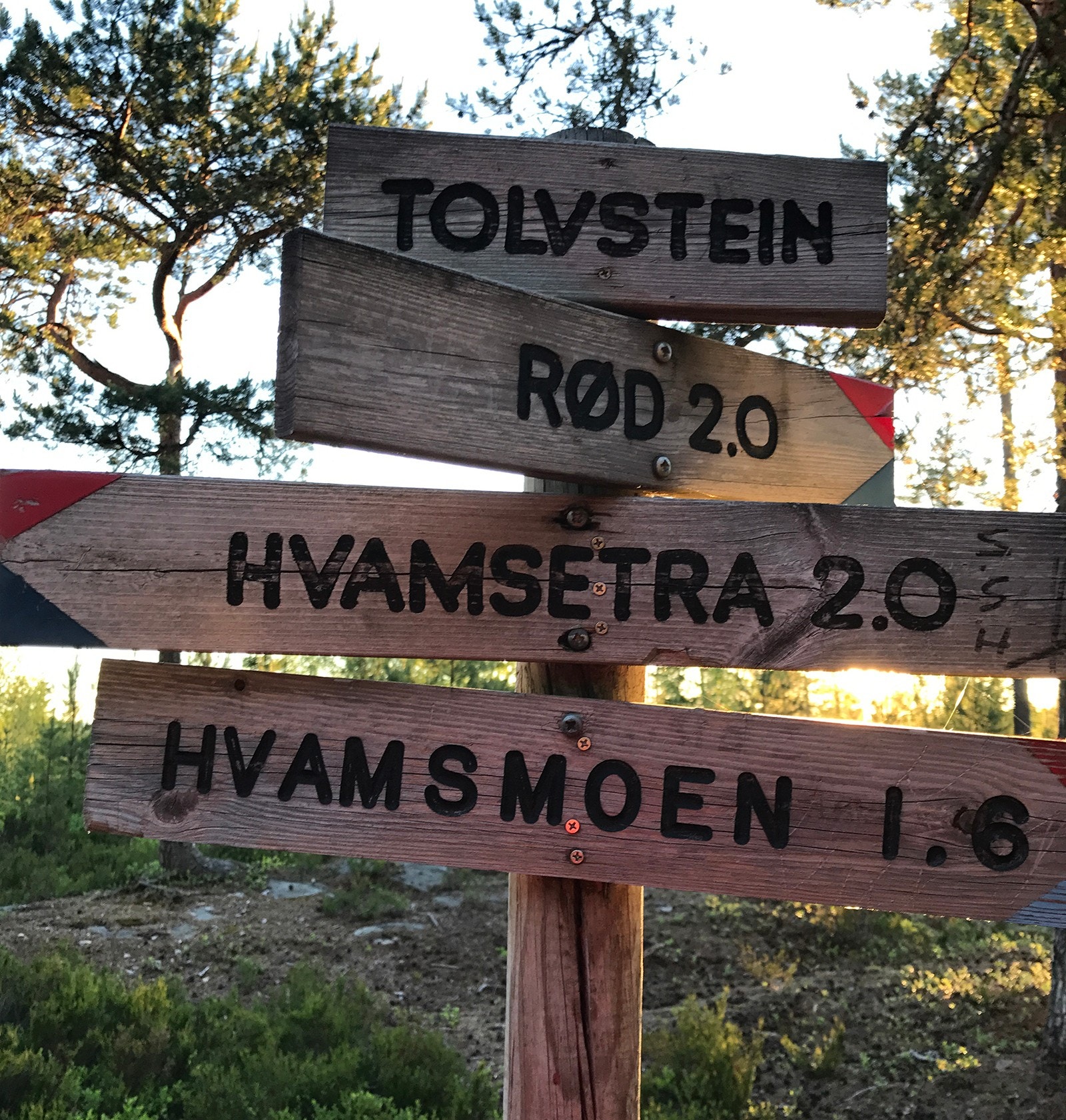 Gode turmuligheter i Nes Galleribilde