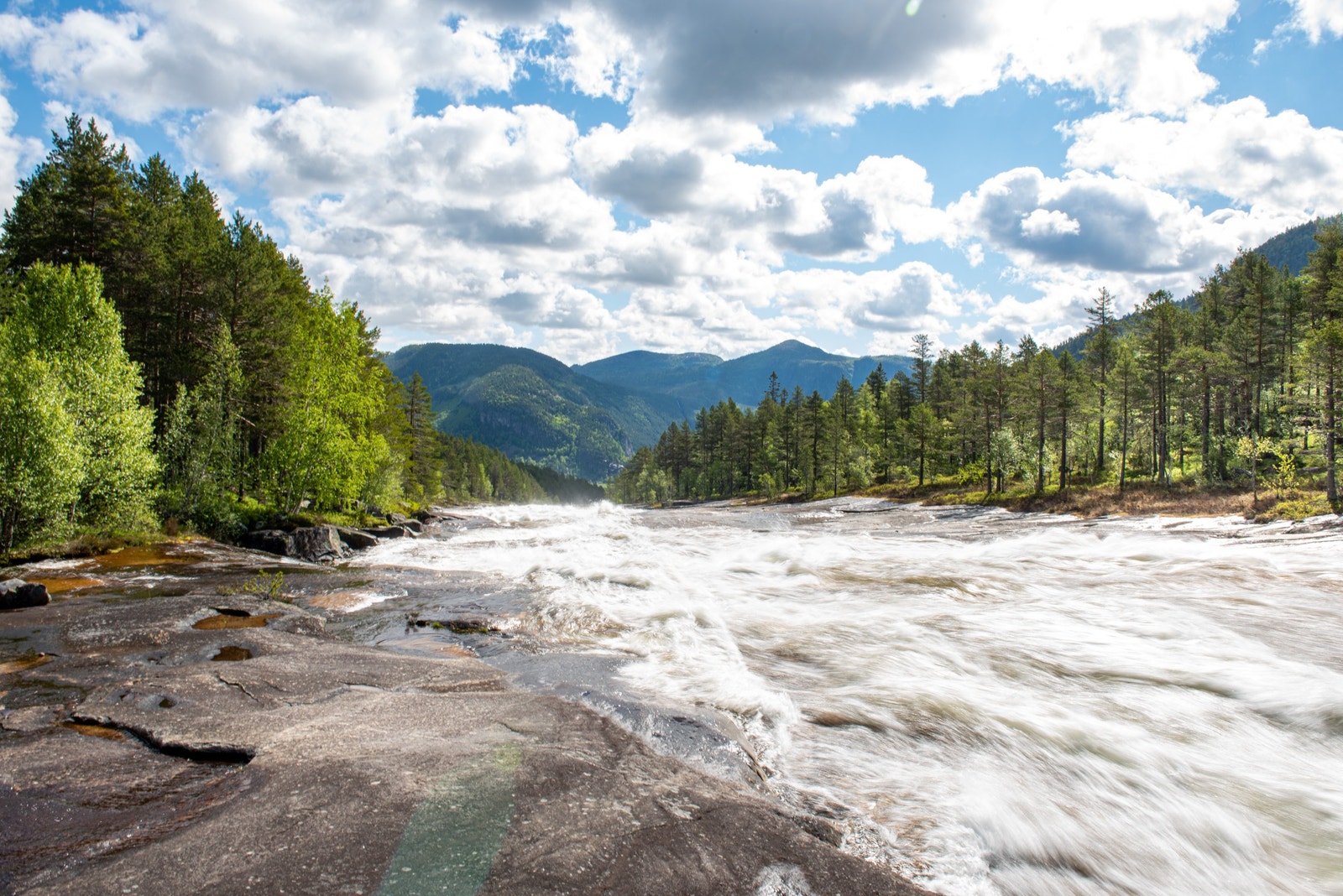 Nærområde Galleribilde