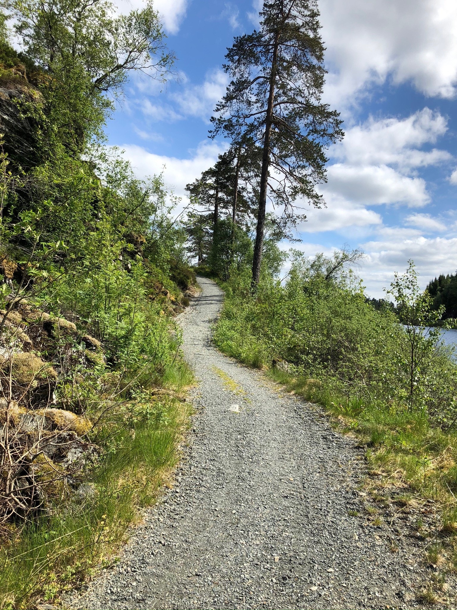 ... så opp bakken fram til hytta Galleribilde