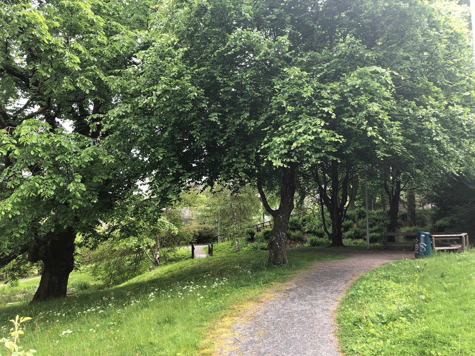 Parken på nedsiden av gaten Galleribilde