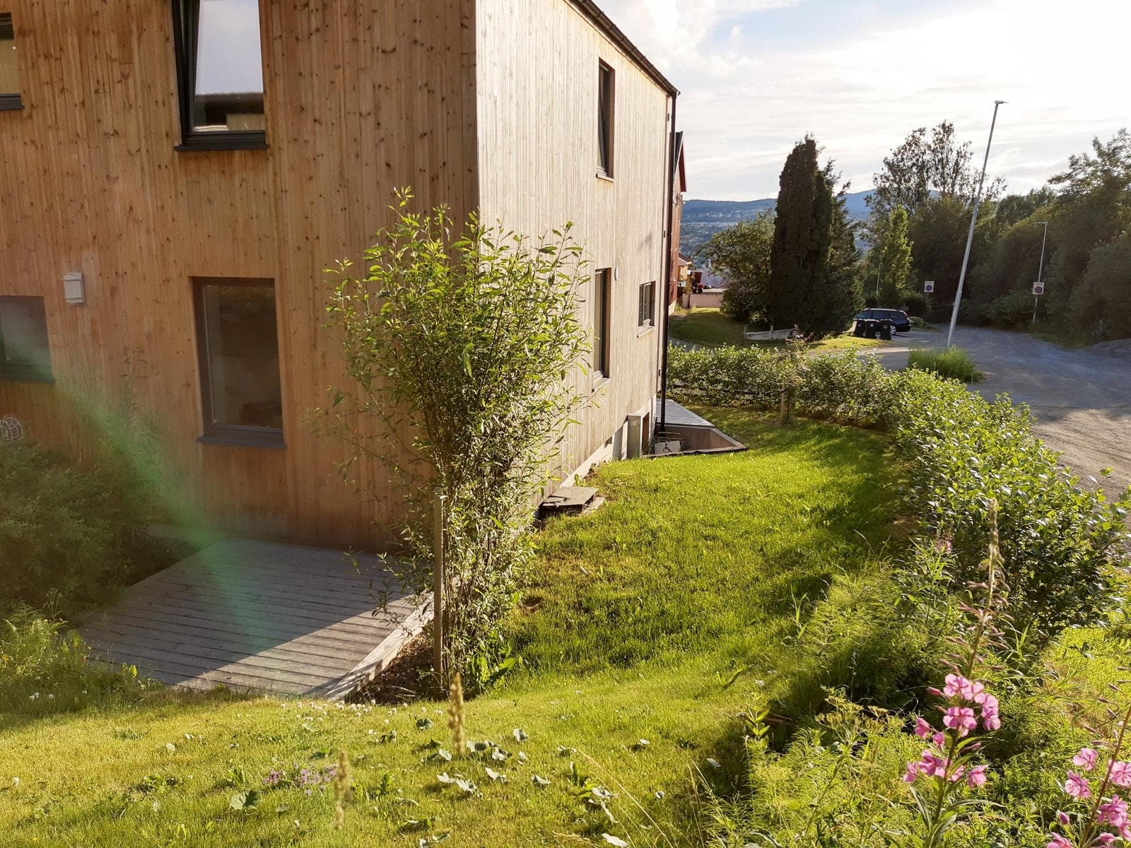 Uteområder og terrasse mot øst Galleribilde