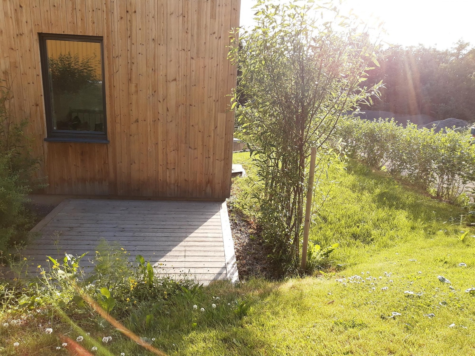 Terrasse Galleribilde