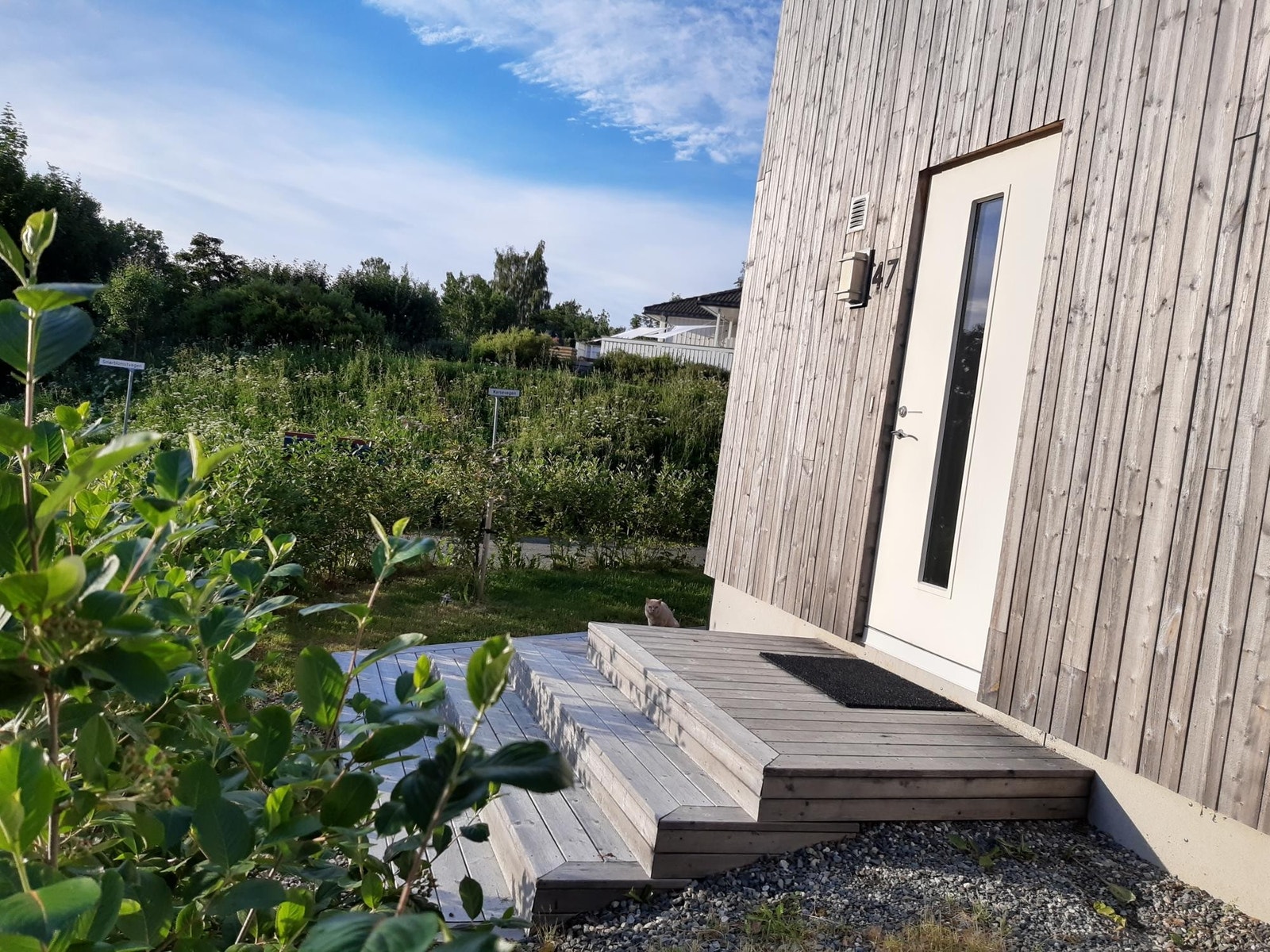 Terrasse/trapp ved inngangspartiet Galleribilde