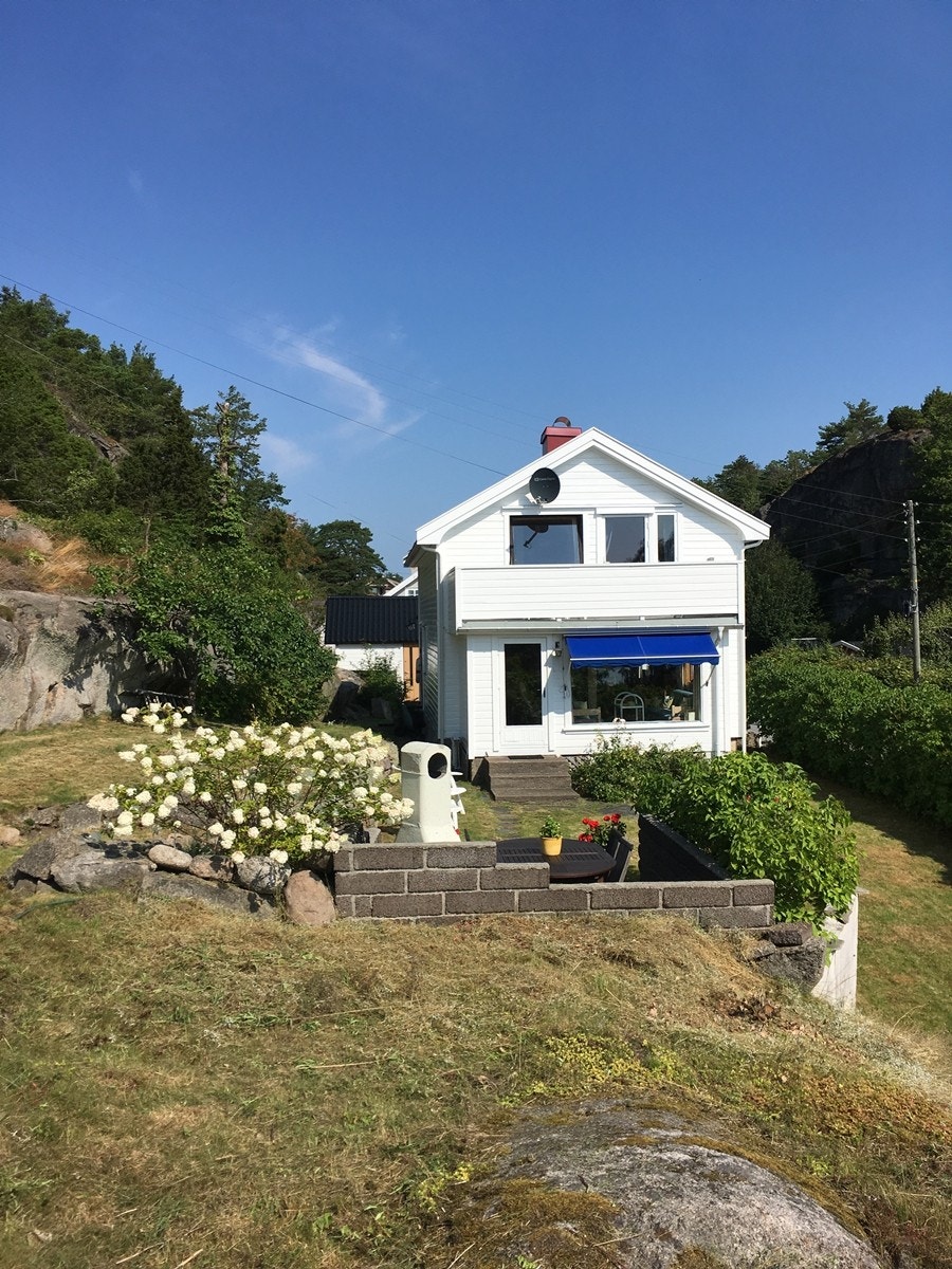 Sommerstid er hagen et flott skue Galleribilde