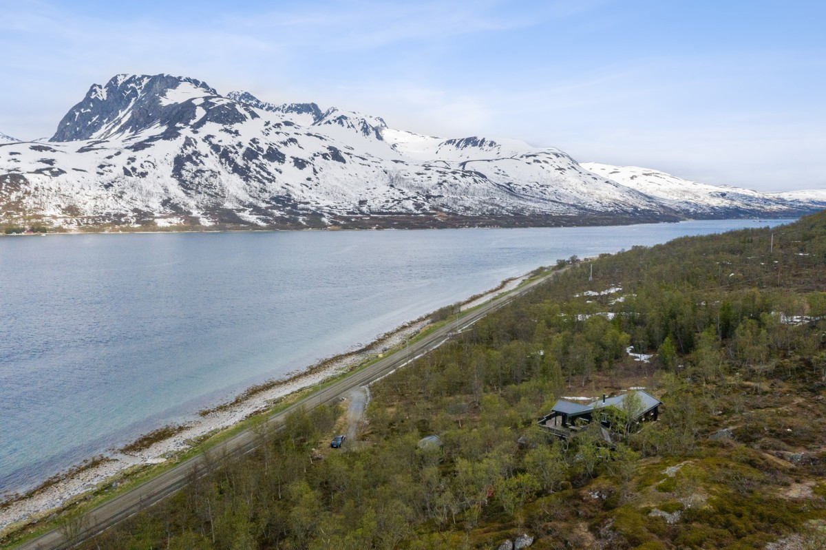 Området