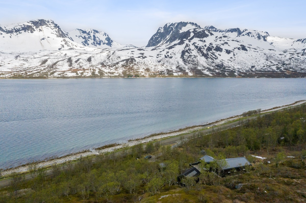 Området