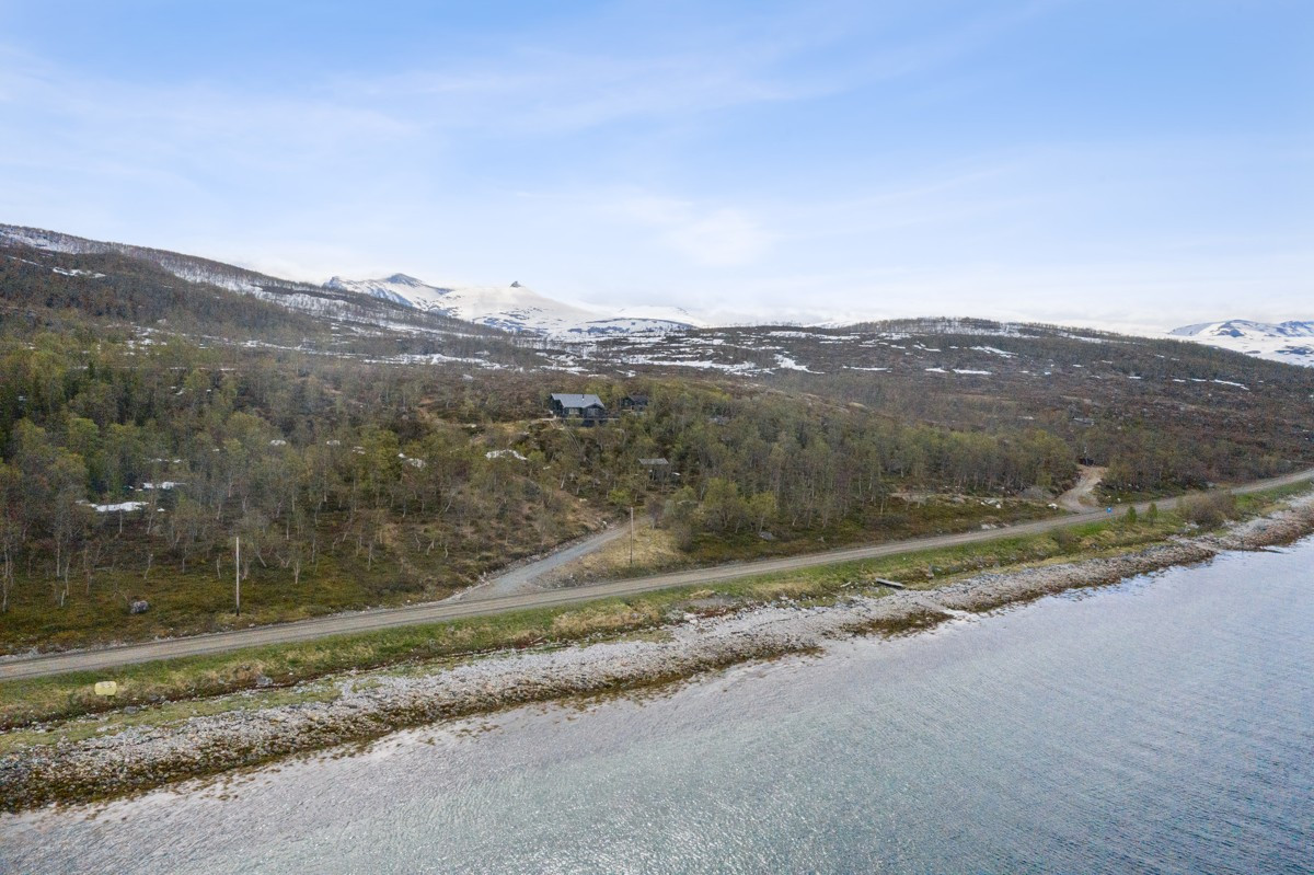 Området