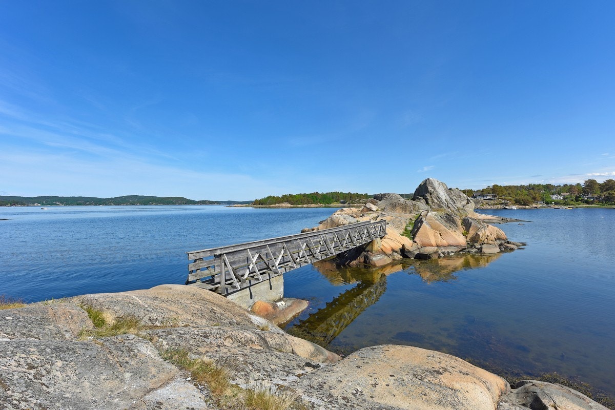 Dusa er en skikkelig sommeridyll på Grimsøy i Skjeberg Galleribilde