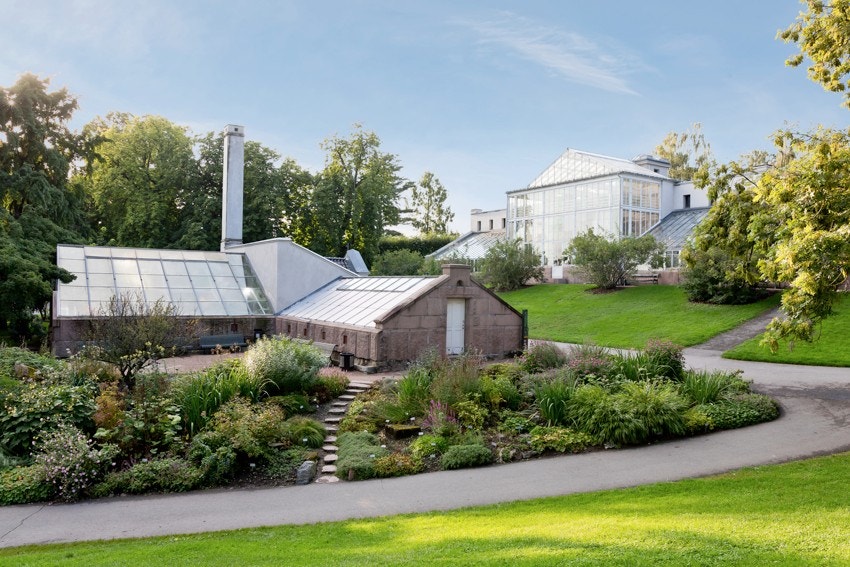 Botanisk Hage er Oslos desidert mest eksotiske og kanskje fineste park. Galleribilde