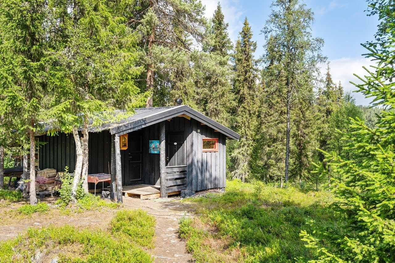 Uthus med bod og do-rom Galleribilde
