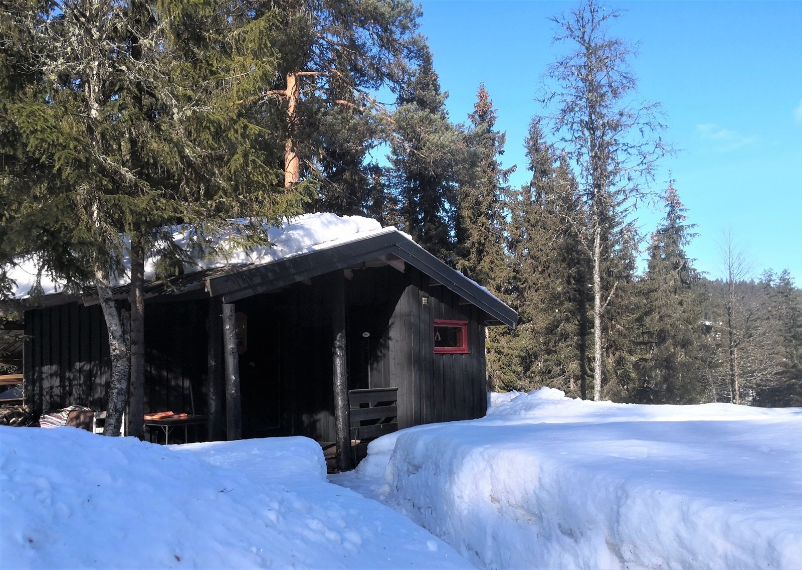 Uthus med dorom. Galleribilde
