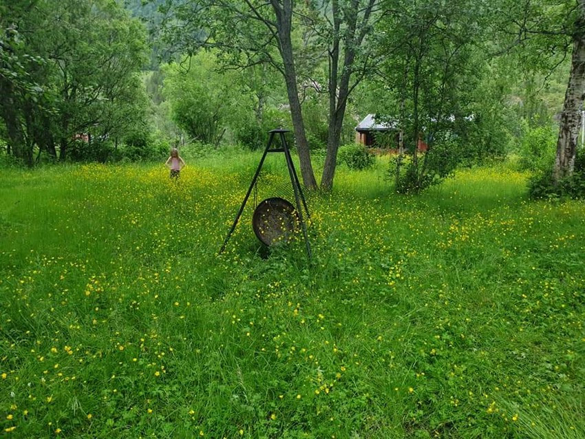 Private bilder