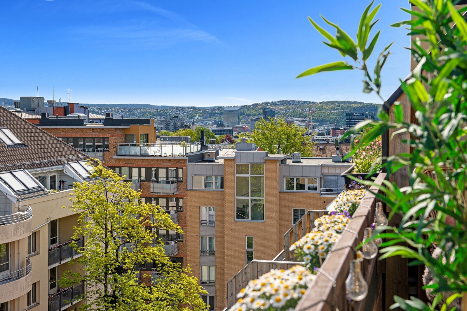 Fantastisk utsikt over Oslo by! Galleribilde