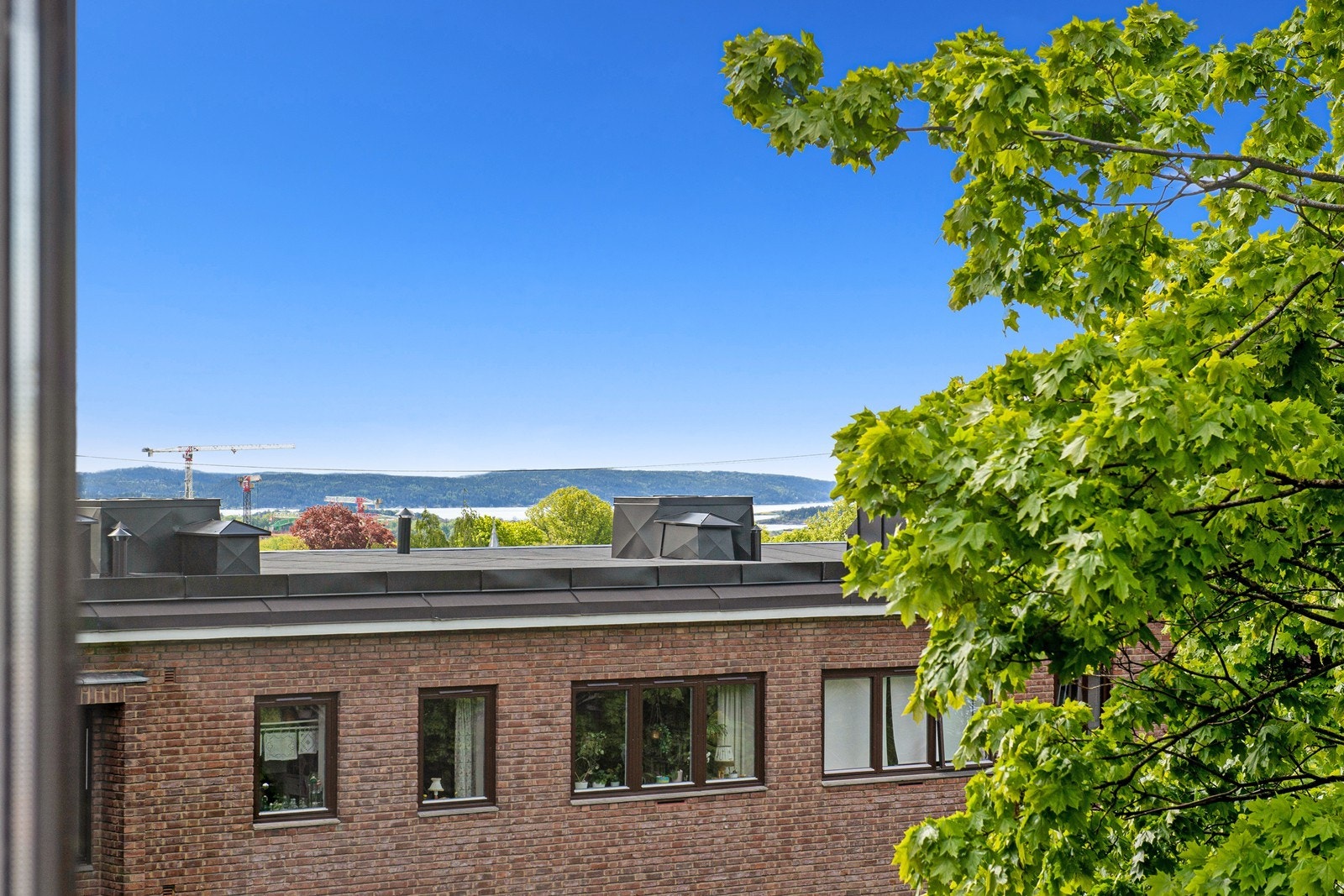 Sjøgløtt og naturskjønn utsikt Galleribilde