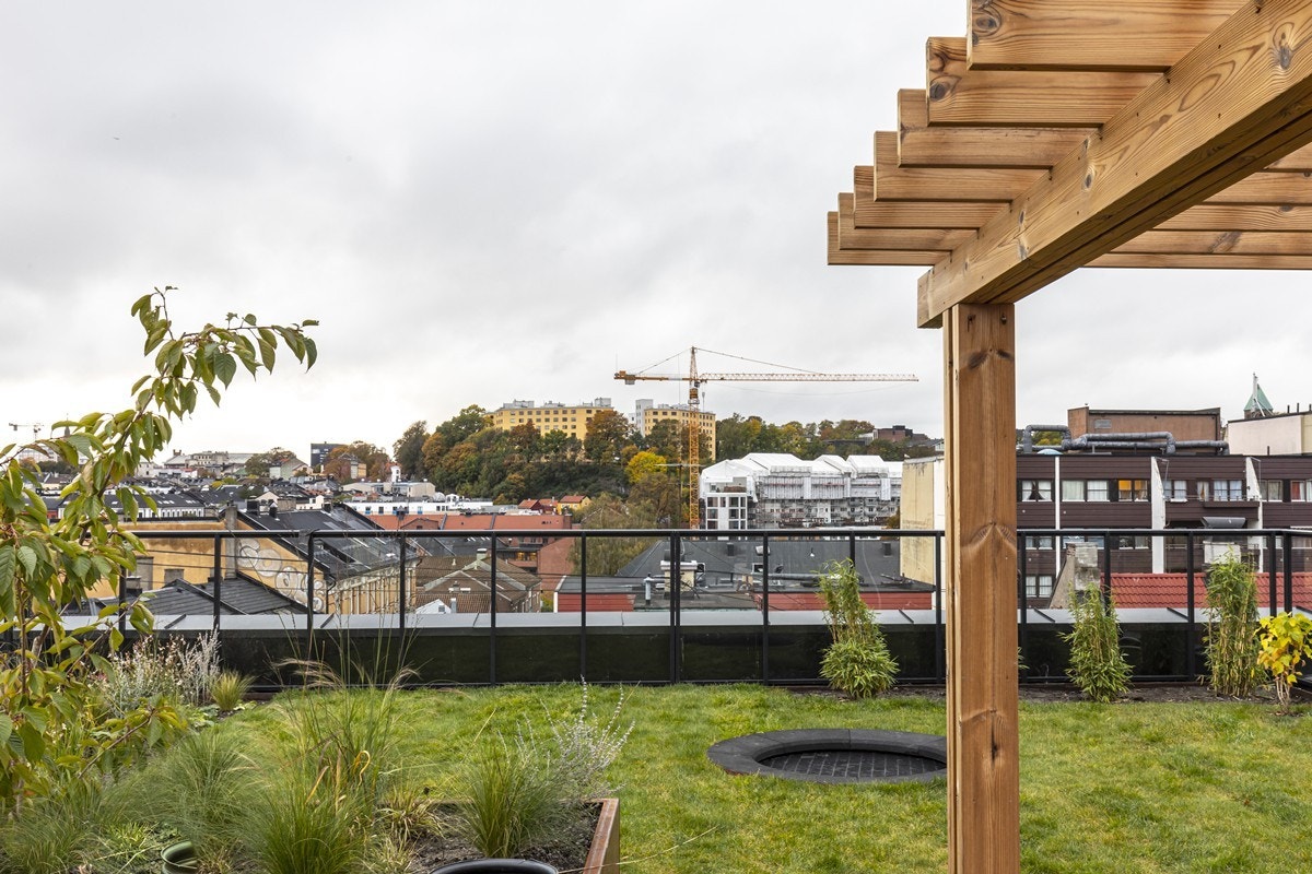 Takterrassen har både gressplen og trampoline. Galleribilde