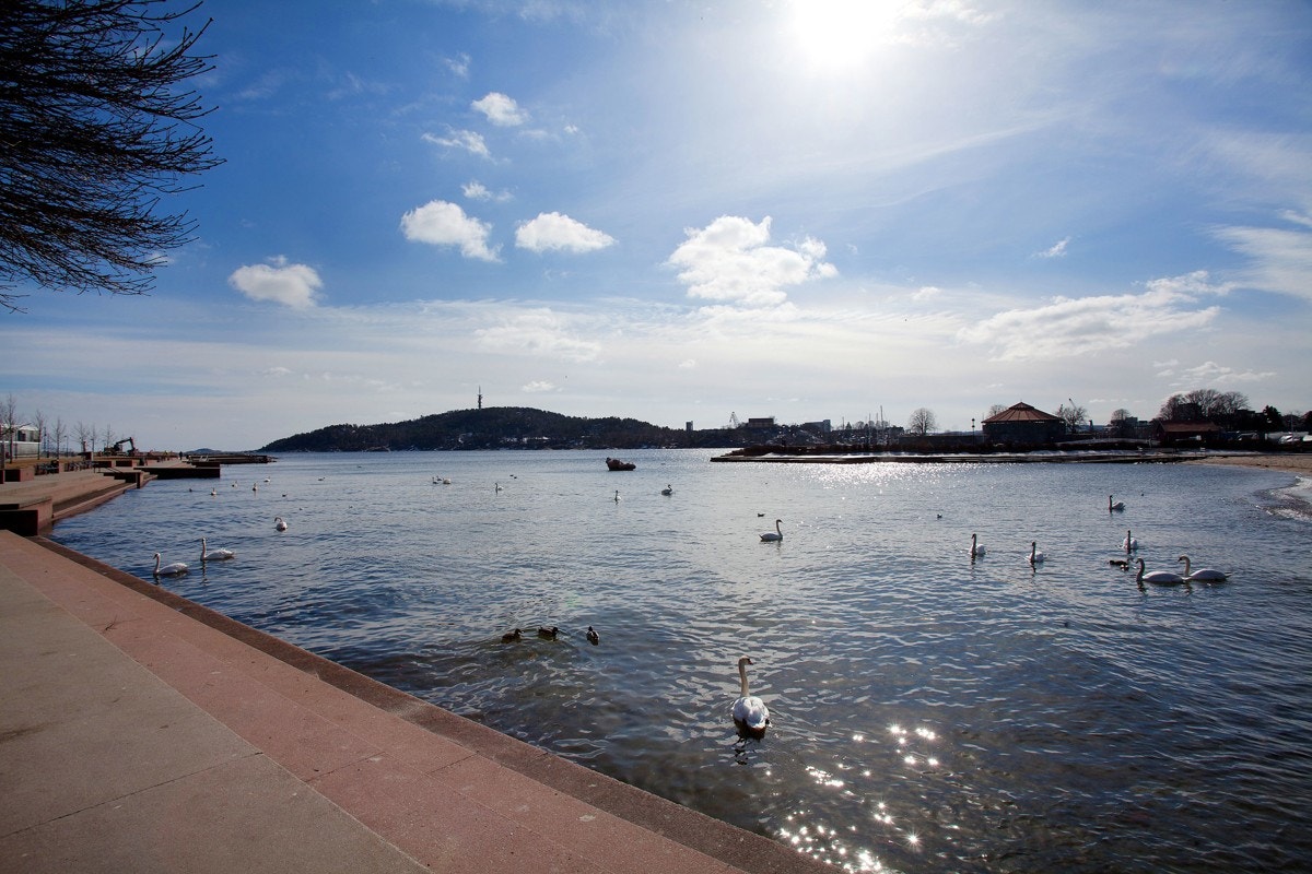 Nærområde - Bystranda Galleribilde