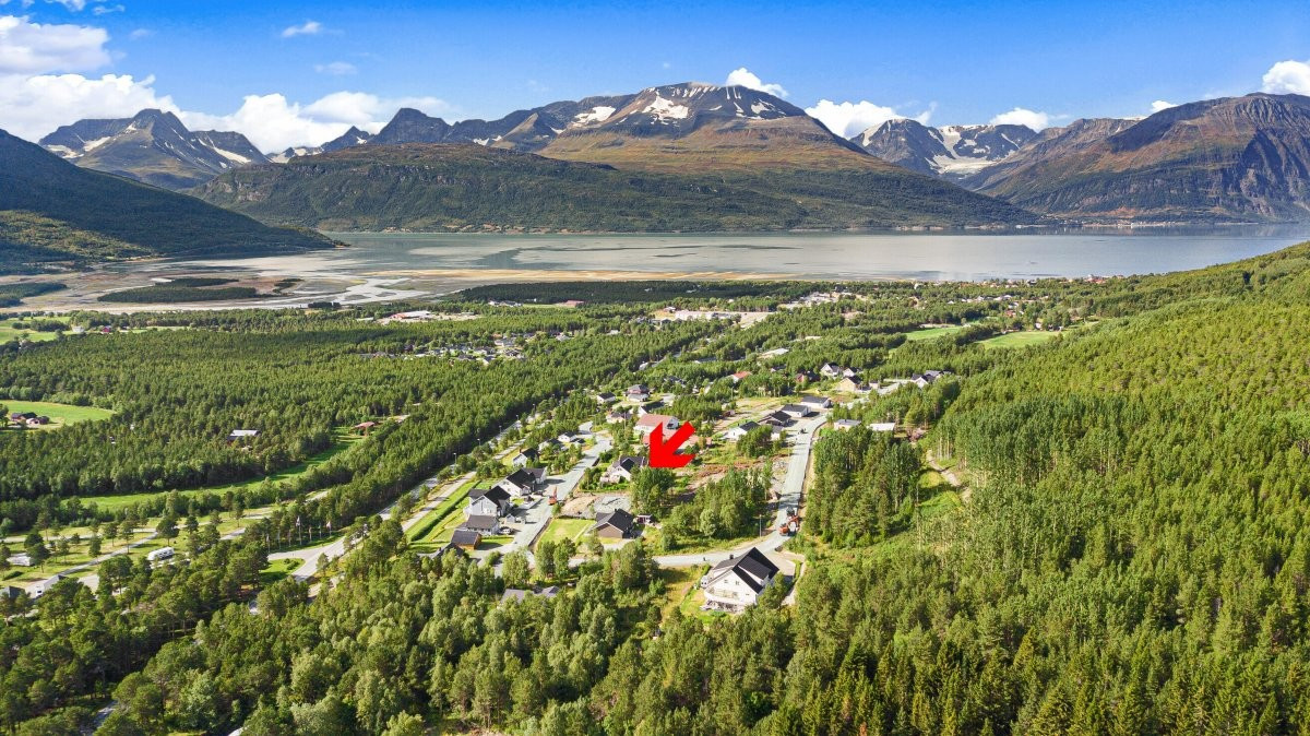 Dronebilde over området og beliggenhet