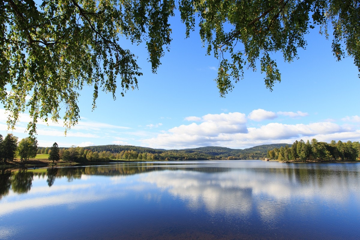 Ved Bogstadvannet, som er en hyggelig gåtur unna, finnes det flotte rekreasjonsmuligheter både sommer og vinter Galleribilde