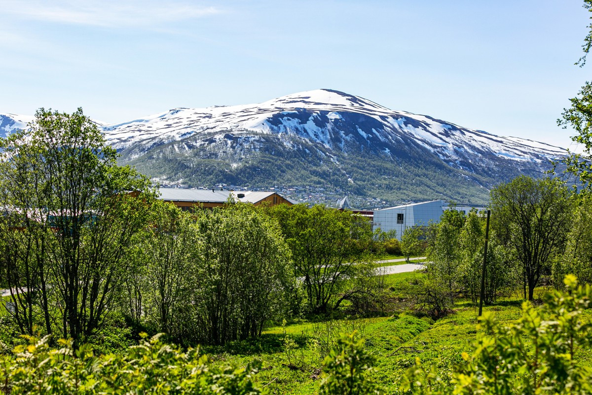 Utsikt